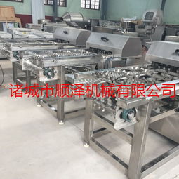 順澤機械速凍玉米切段機產品報價與設備特性解析