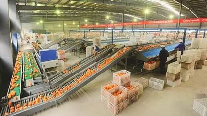 2019年初級(jí)農(nóng)產(chǎn)品加工可申報(bào)補(bǔ)貼項(xiàng)目梳理