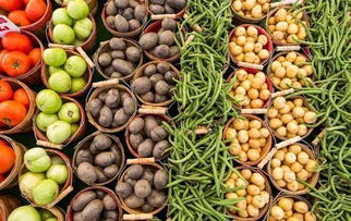 共享農(nóng)莊新玩法 初級(jí)農(nóng)產(chǎn)品變現(xiàn)全攻略