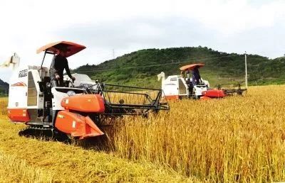 山東實(shí)施八大舉措，為鄉(xiāng)村振興注入新動(dòng)能